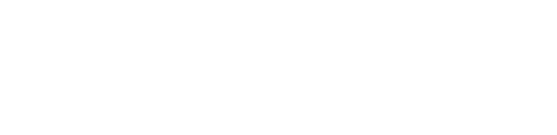 Skillnest_blanca