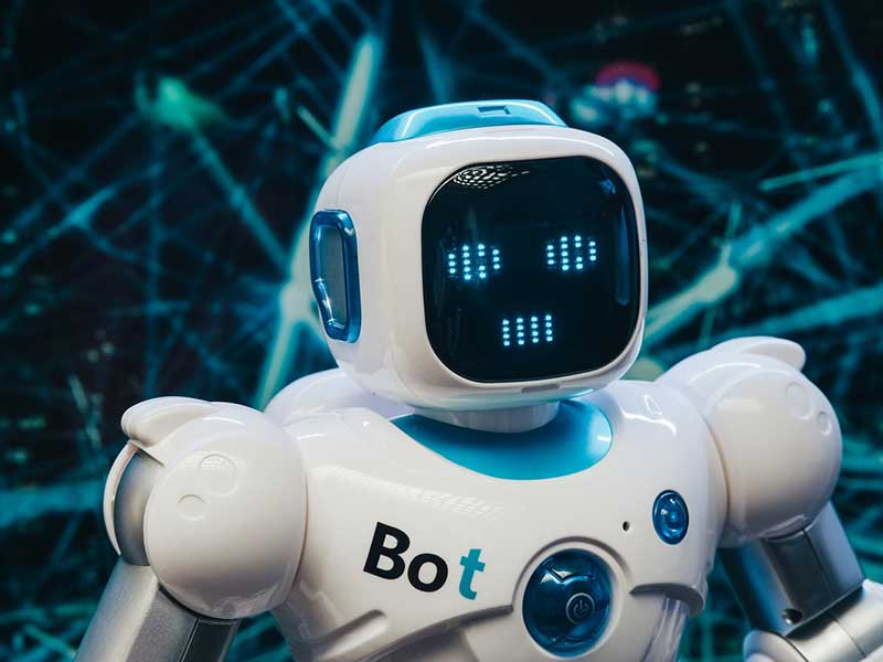 bot bot