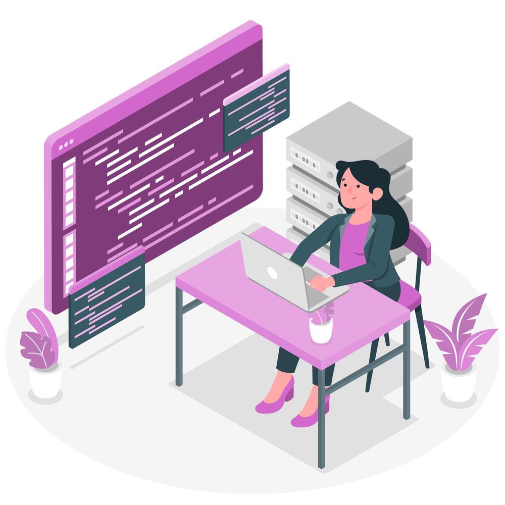 programadora programadora